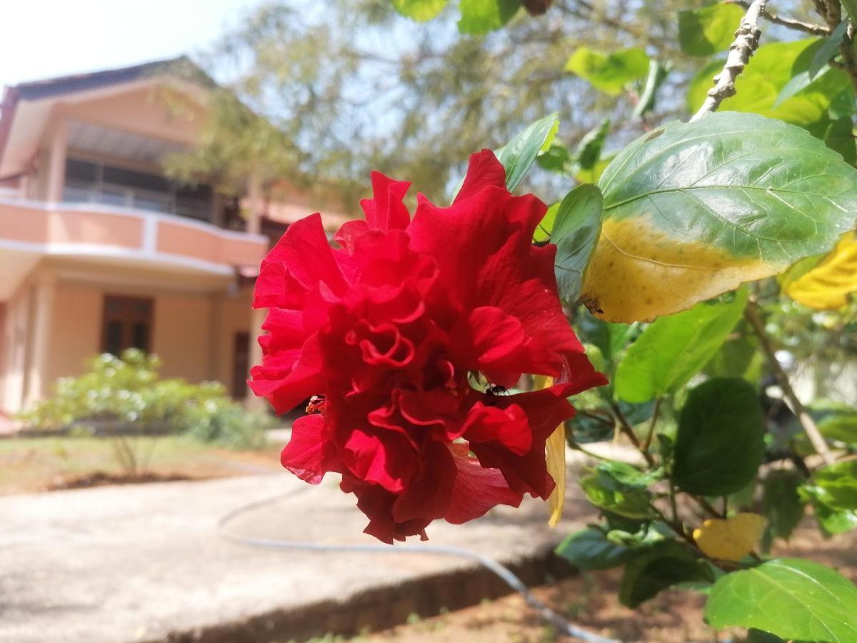Ashoka Villa Jaffna Dış mekan fotoğraf
